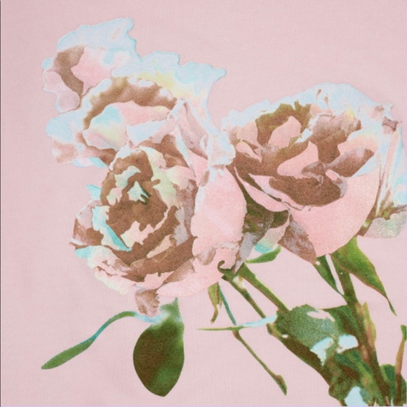 TAYLOR SWIFT LOVER ALBUM VALENTINE'S DAY COLLECTION Pink Glitter Rose Ho… - Picture 3 of 4